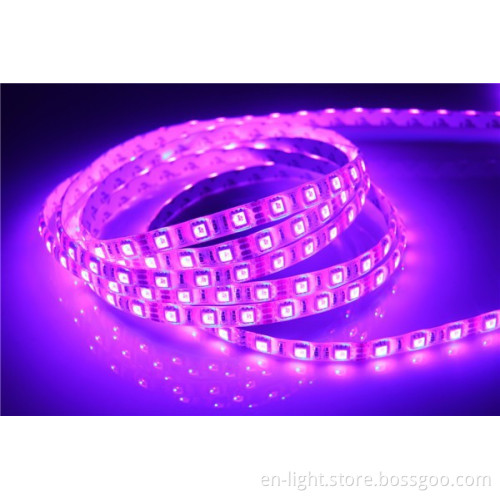2015 shenzhen 12v 60leds/m smd 3528 led strip for free sample
